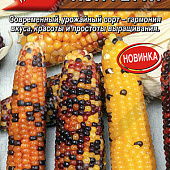 Кукуруза Конфетти сахарная 5шт