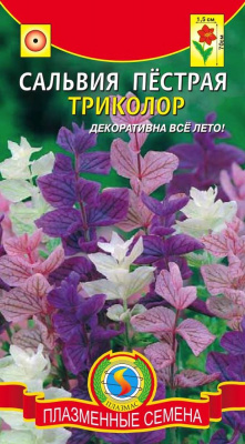 цСальвия Пестрая Триколор