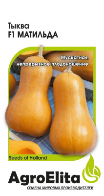 Тыква Матильда 5 шт (Энза Заден)