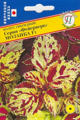 цКолеус Фейерверк Мозаика 10шт