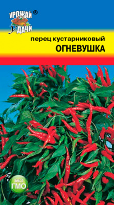Перец Огневушка кустарниковый