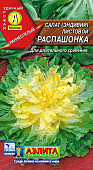 Салат Распашонка листовой (Эндивий)