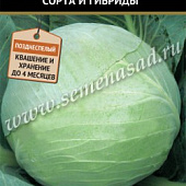 Капуста бк Арктика 0,2г позд.