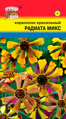 цКореопсис Радиата микс