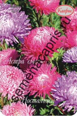 цАстра Ностальжи смесь (20пак*0,5г)