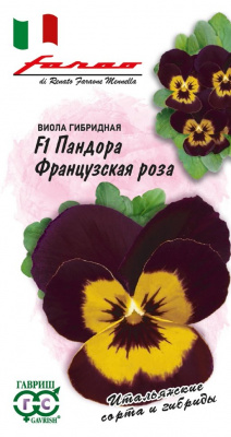 цВиола Пандора Французская роза 5шт