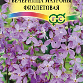 Вечерница Матроны фиолетовая (Хесперис) 0,1г серия Сад ароматов