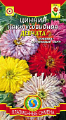 цЦинния Девчата карлик.кактус. 0,3г