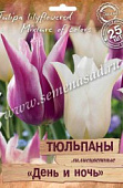 Тюльпан День и Ночь, лилиецветная смесь (25 шт)
