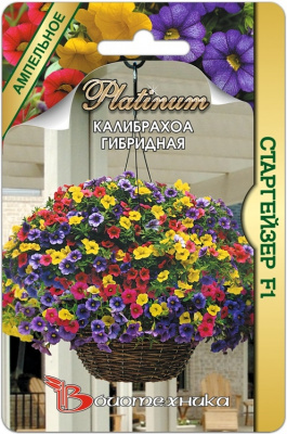 цКалибрахоа Старгейзер 3шт