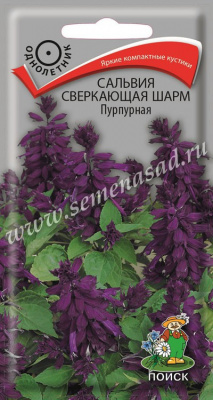 цСальвия Шарм Пурпурная 0,1г