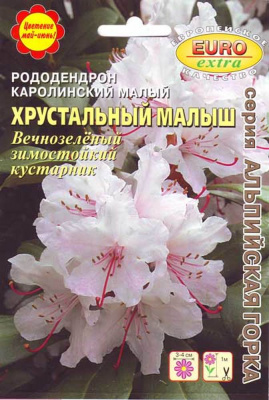 цРододендрон Хрустальный малыш 0,001г