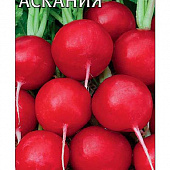 Редис Аскания 2г (Германия)