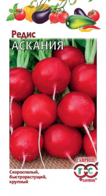 Редис Аскания 2г