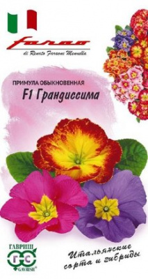 цПримула Грандиссима смесь 5шт