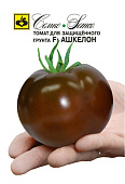Томат Ашкелон 5шт