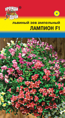 цЛьвиный зев Лампион амп. 5шт