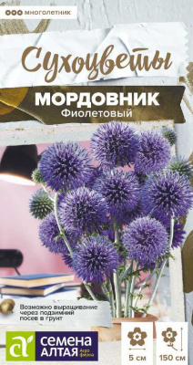 цМордовник Фиолетовый 0,2 г Сухоцветы!