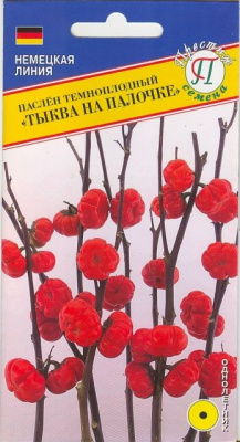 цПаслен Тыква на палочке 5шт