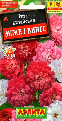 Роза Энжел Вингс 10шт
