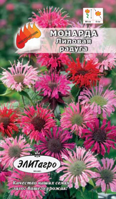 цМонарда Лиловая радуга