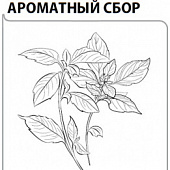 Базилик Ароматный сбор 0,1г