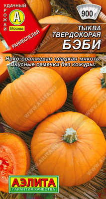 Тыква Бэби 1г твердокорая