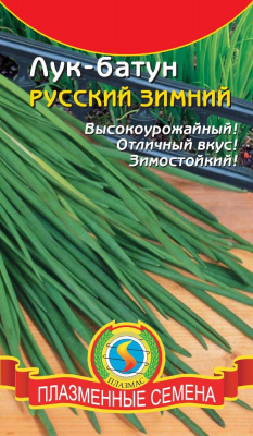 Лук батун Русский зимний 0,9г