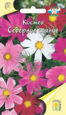 цКосмея Северное сияние