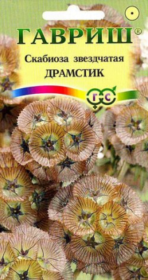 цСкабиоза Драмстик звездчатая 0,5 г.