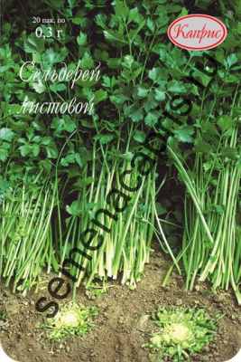 Сельдерей Афина (20пак*0,3г)