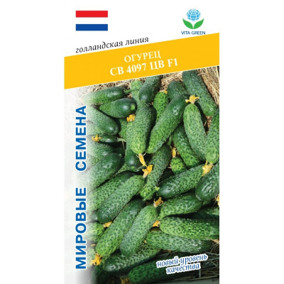 Огурец СВ 4097 7шт VITA GREEN