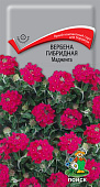 Вербена Маджента 0,1г