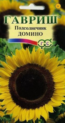 цПодсолнечник Домино
