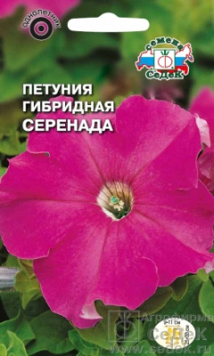 цПетуния Серенада