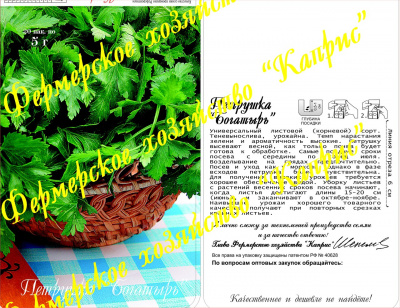 Петрушка листовая Богатырь (20пак*3г)