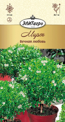 цМирт Вечная любовь