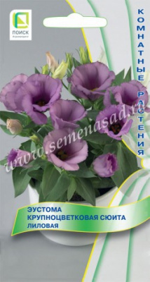 Эустома Сюита Лиловая 5 шт