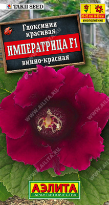 цГлоксиния Императрица Винно-красная 5шт