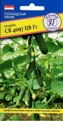 Огурец СВ 4097 5шт (Голландия)