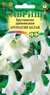цБругмансия Аромагия белая 3шт