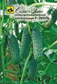 Огурец Эколь 10шт