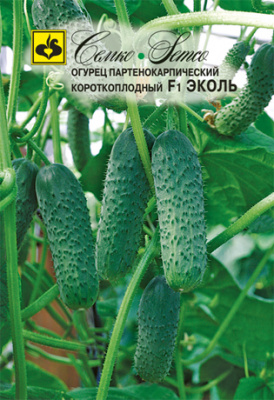 Огурец Эколь 5шт