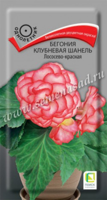 цБегония Шанель Лососево-красная клубн. 5шт