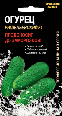 Огурец Ришельевский