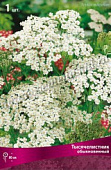 Тысячелистник обыкновенный (1 шт.)