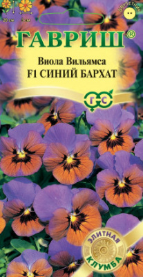 цВиола Синий бархат 5шт Элитная клумба