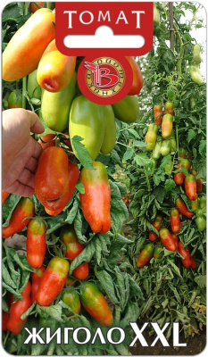 Томат Жиголо XXL 10шт