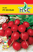 Редис Рудольф 2г (BEJO ZADEN/Нидерланды)