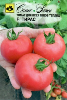 Томат Тирас 10шт